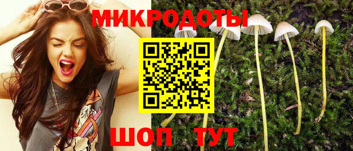 Йошкар-Ола  Псилоцибиновые грибы Cubensis  Вход с VPN 