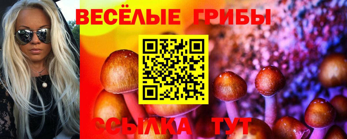 Галлюциногенные грибы GOLDEN TEACHER Йошкар-Ола